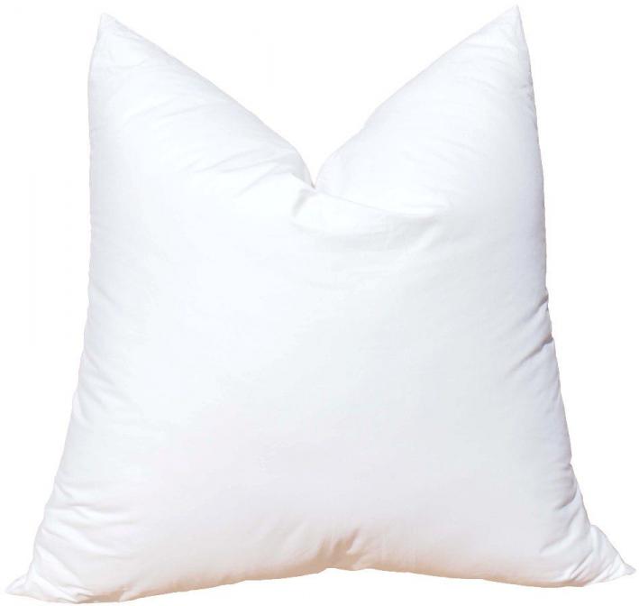 Surya – Pillow & Insert Bundle – Quinby – 20" x 20"